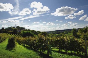 The Veneto Region - Prosecco's Hill